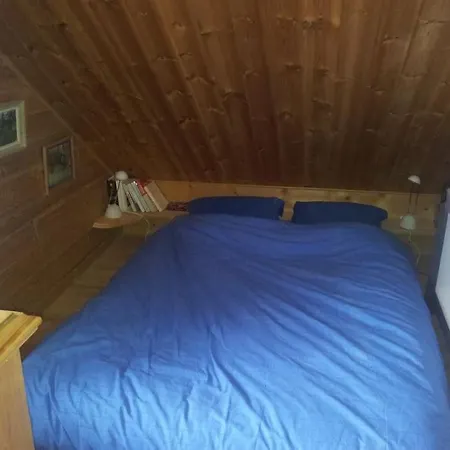 Chalet Norvégien De Charme à La Foux D'allos Chalet Allos