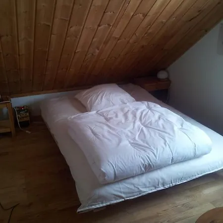 Chalet Norvégien De Charme à La Foux D'allos * Allos
